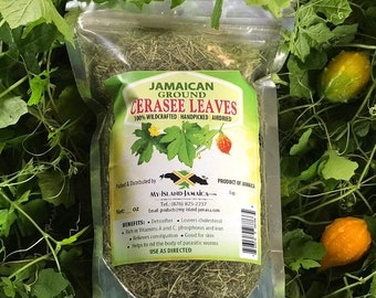 Jamaican CERASEE | 100% Wild Crafted & Hand Picked | Bitter Melon | Fresh Organically Grown Jamaican Herb