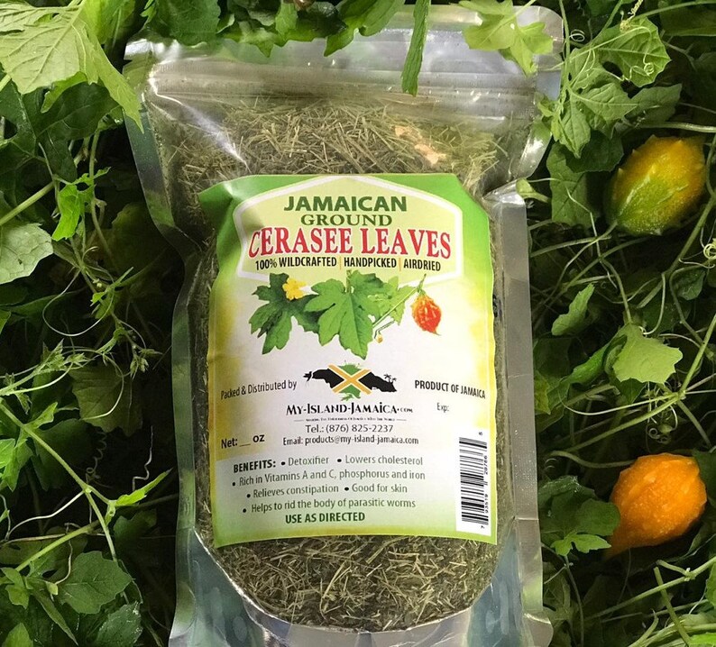 Peut inclure: Un sac en plastique transparent rempli de feuilles de cerasee s&eacute;ch&eacute;es vertes. Le sac porte une &eacute;tiquette indiquant "Jamaican Ground Cerasee Leaves 100% Wildcrafted Handpicked Airdried". L'&eacute;tiquette comprend &eacute;galement le nom de l'entreprise "My-Island-Jamaica" et les coordonn&eacute;es. Le sac est pos&eacute; sur un lit de feuilles vertes.