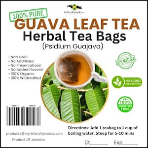 Guava Leaf Herbal TEA BAGS (Psidium Guajava) | 100% ORGANIC & WildCrafted | Free Shipping |