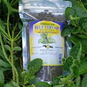 Jamaican VERVAIN - 100% WildCrafted Fresh Dried | FREE SHIPPING | Stachytarpheta jamaicensis