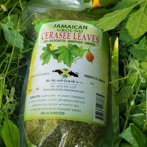 Peut inclure: Un sac en plastique transparent rempli de feuilles de cerasee s&eacute;ch&eacute;es et vertes. Le sac est &eacute;tiquet&eacute; "Jamaican Ground Cerasee Leaves 100% Wildcrafted Handpicked Airdried" et &eacute;num&egrave;re les bienfaits des feuilles, notamment la d&eacute;toxification, l'abaissement du cholest&eacute;rol et la richesse en vitamines A et C. Le sac est &eacute;tiquet&eacute; "Produit de la Jama&iuml;que" et comprend un code-barres.