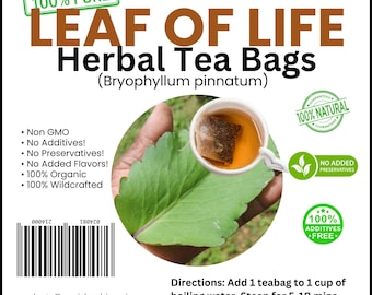 LEAF OF LIFE Tea Bags (Bryophyllum pinnatum) | 100% Wildcrafted Jamaican Herb | Hand-Picked & Sun-Dried | Free Shipping to Uk and Canada