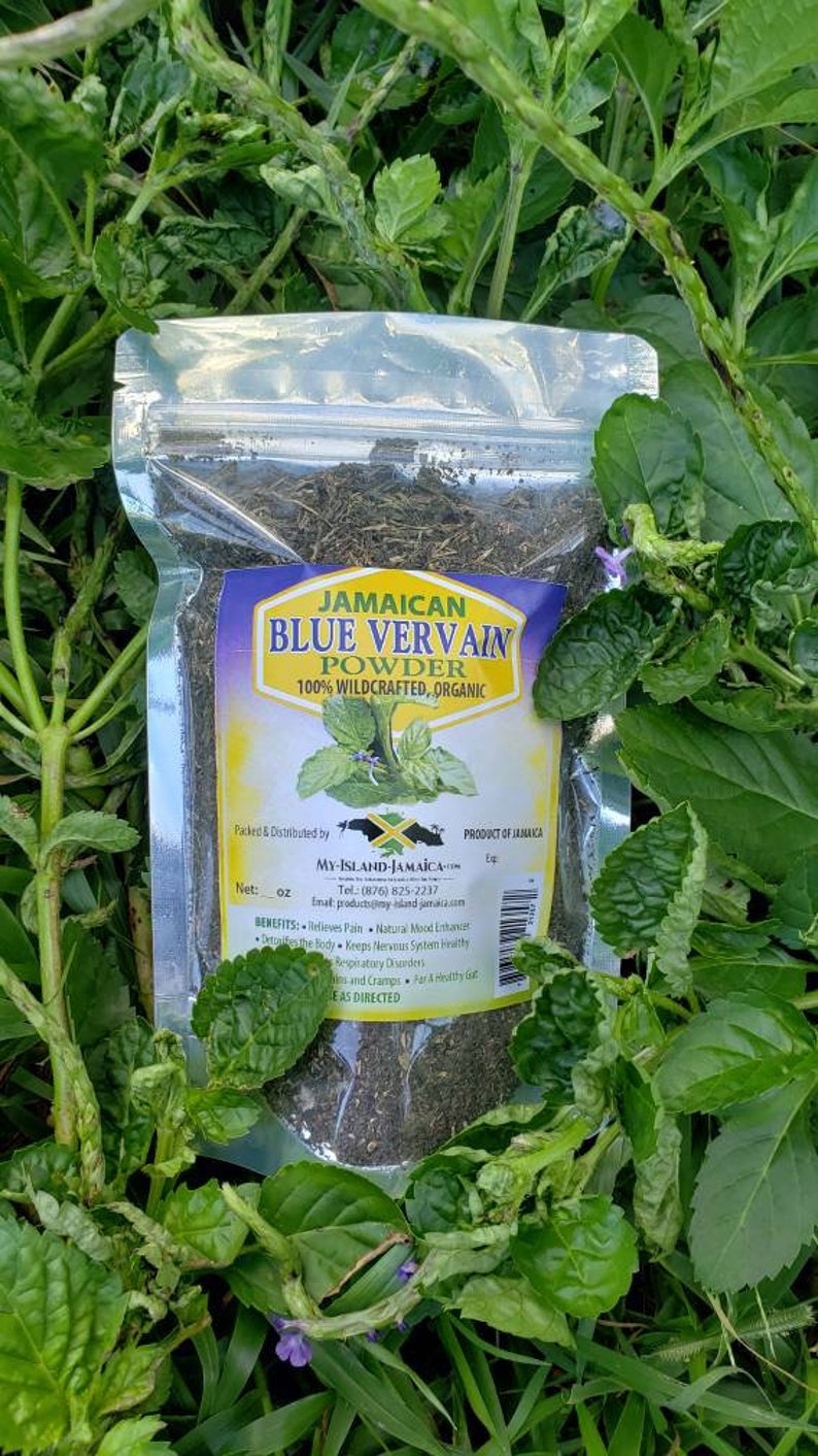 JAMAICAN VERVAIN 100 WildCrafted Fresh Dried Verbena Etsy