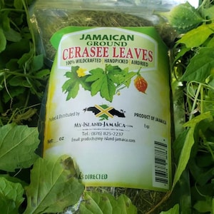 Jamaican CERASEE | 100% Wild Crafted, Hand Picked & Grounded | Bitter Melon | Fresh Organically Grown Jamaican Herb