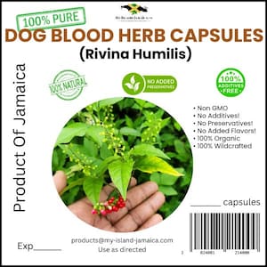 CAPSULES Dog Blood Herb Dog (Rivina humilis) | 600mg | 100% Wildcrafted Jamaican Herb | Vegan Capsules | Free Shipping