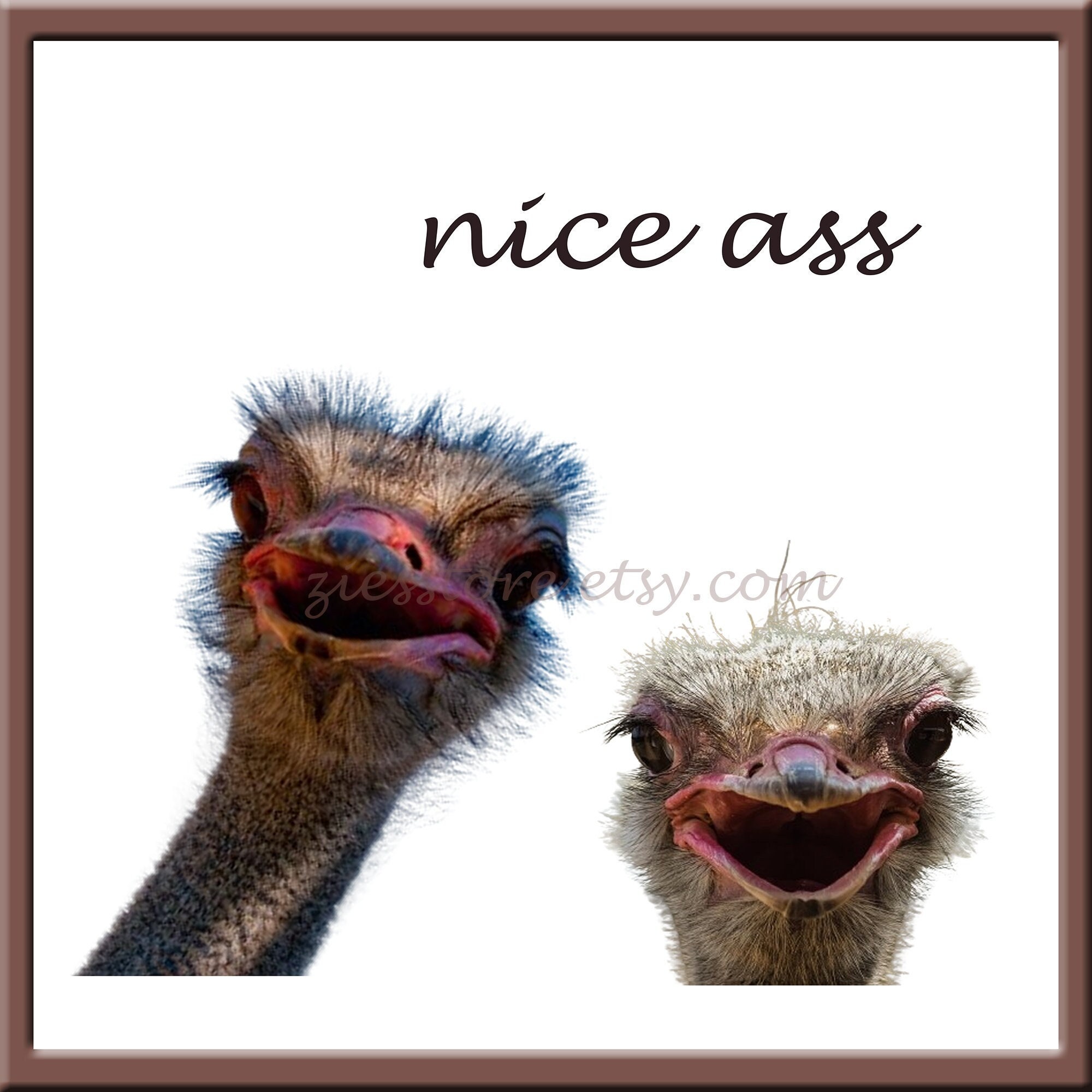 Nice Ass Funny Ostrich Wall Art, Bathroom Wall Art, Ostrich Wall Art