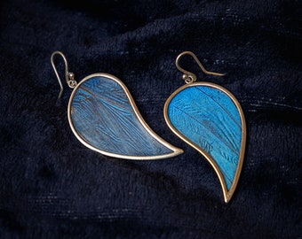 Blue Morpho butterfly wing jewelry, real butterflies, butterfly earrings, real butterfly gifts, jewelry with real butterfly wings