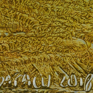 Può includere: Opera d'arte astratta con una superficie strutturata giallo dorato. Il pezzo presenta un motivo organico a strati con una trama ruvida e irregolare. La firma dell'artista, "DA PACU 2018", è visibile nella parte inferiore dell'opera.