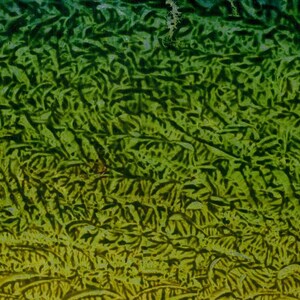 Eat My Frog Multidimensional Painting Digital File Great For Wall Art Sets, Large Paintings. Observe Deeply To Get Inside DEEPER. Amazing image 7