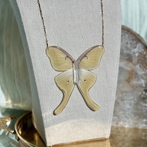 Real Moth Necklace, Luna Moth Necklace, Handmade Butterfly Jewelry, Statement Moth Jewelry, Nature Inspired Jewelry, Ethereal Necklace