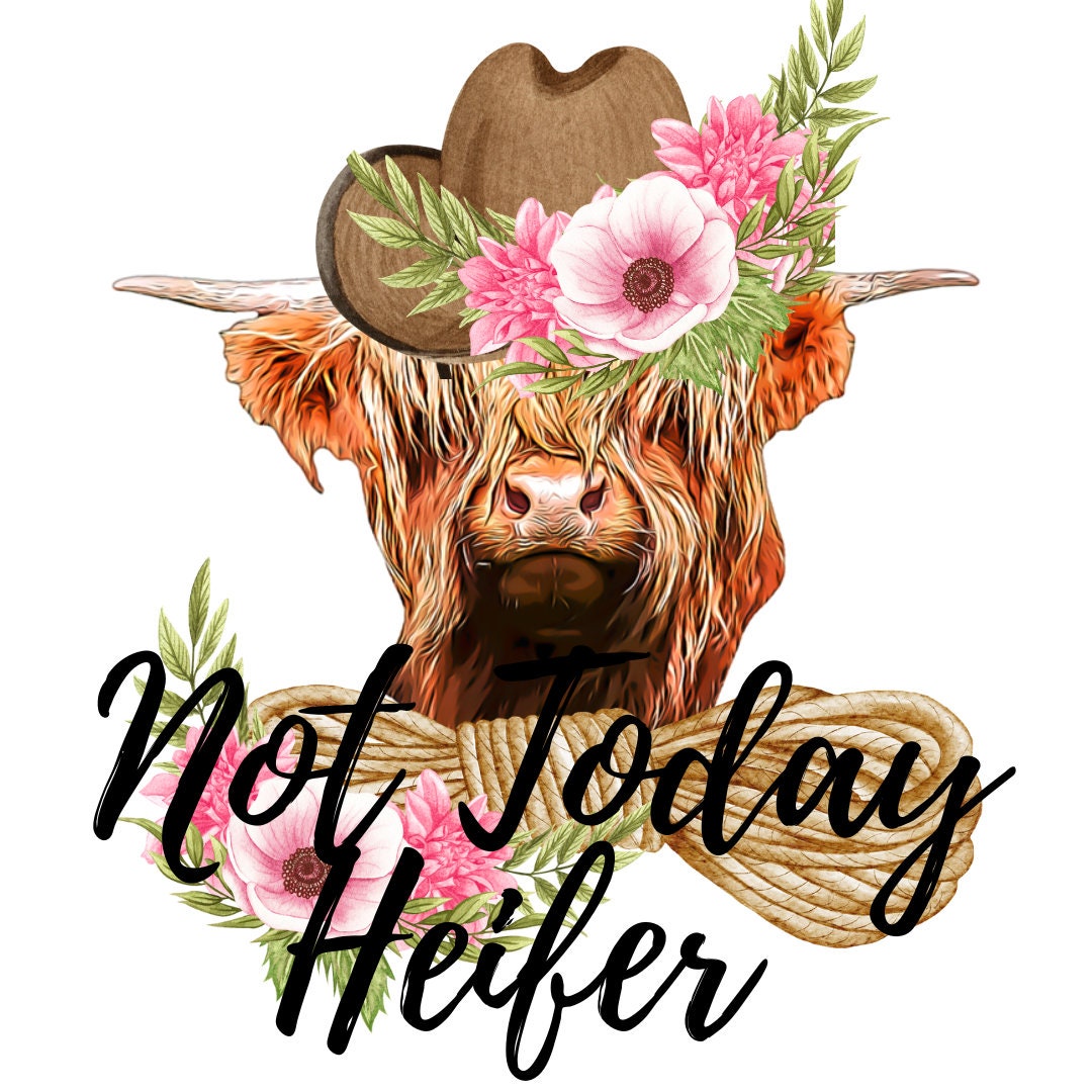 Not Today Heifer Png Download, Png Highland Cow File, Digital Download ...
