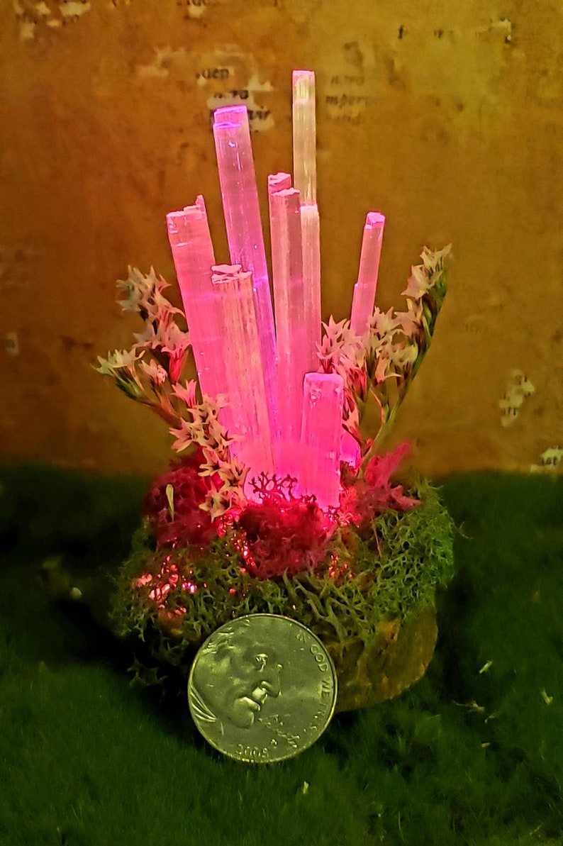 Mini Lighted LED Fairy Garden Floor Lamp Selenite Crystals ...