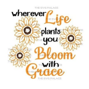 Sunflower Svg, Religious Quotes Wherever Life Plants You Bloom with Grace Png Inspirational Life Quotes Floral Design Svg Instant Download