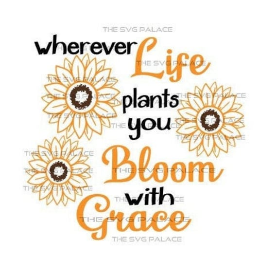Download Sunflower Svg Religious Quotes Wherever Life Plants You Bloom Etsy