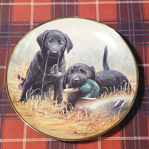 Labrador online decorative items