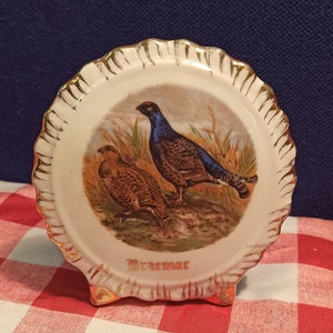 Könnte beinhalten: Ein weißer Keramikteller mit goldfarbenem Rand und erhöhtem Rand. Der Teller zeigt ein gemaltes Bild von zwei Vögeln, einem braunen und einem blau-schwarzen, in einer grasbewachsenen Umgebung. Der Teller trägt die Aufschrift "Braemar" in Gold auf der Unterseite.