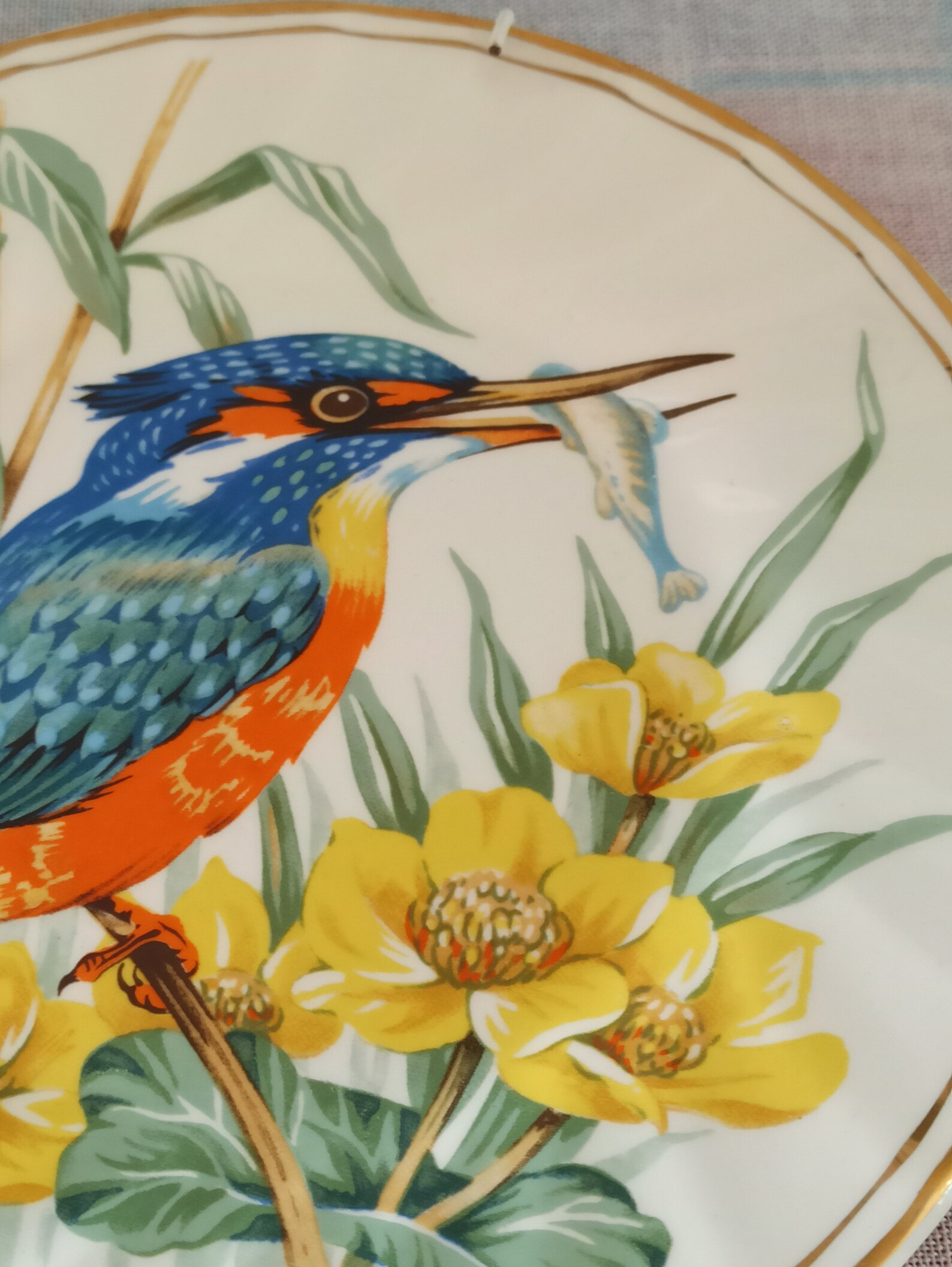 Vintage Kingfisher Wall Plate By Churchills of England. Very Etsy