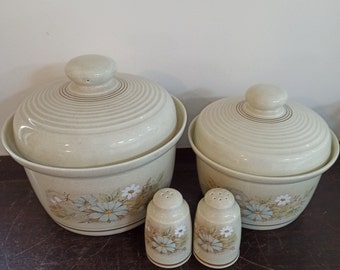 Royal Doulton, pentole retrò, 1 zuppiera grande, 1 zuppiera più piccola e sale e pepe. 1977-1980, condizioni eccellenti. Lambethware. Florinda