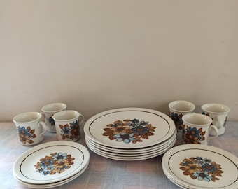 Retro  Dinner Set. Ridgway Ironstone, England. Pattern 'Takoma'. Very Good Condition. c.1970s.