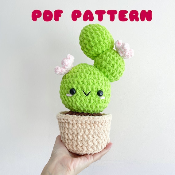 kaktus media OP120: Opuntia "Walk-In-Beauty" 'Fire Sun'