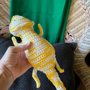 Lagarto barbudo