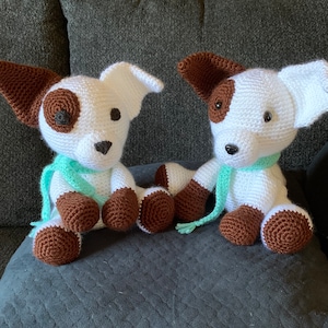 Jack Russell puppy
