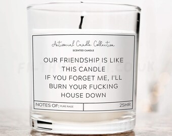 Our Friendship Is Like This Candle, Funny Candle, Friendship Candle, Inappropriate Gifts, Offensive Gifts, Fuck Off Candle, Fathers Day Gift