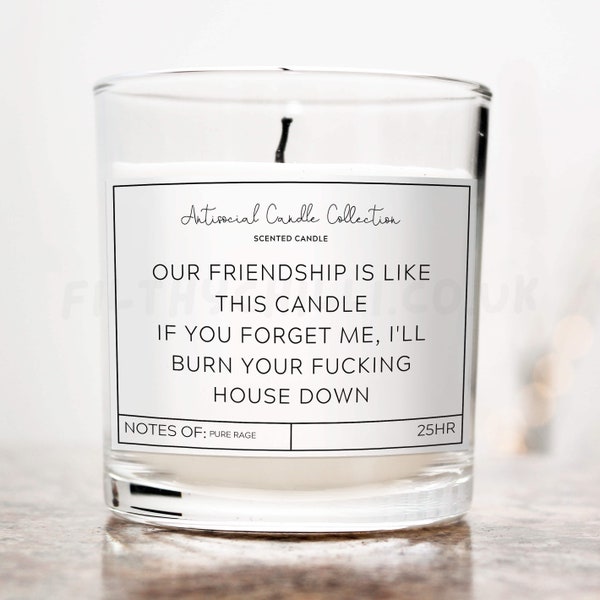 Our Friendship Is Like This Candle, Funny Candle, Friendship Candle, Inappropriate Gifts, Offensive Gifts, Fuck Off Candle, Fathers Day Gift