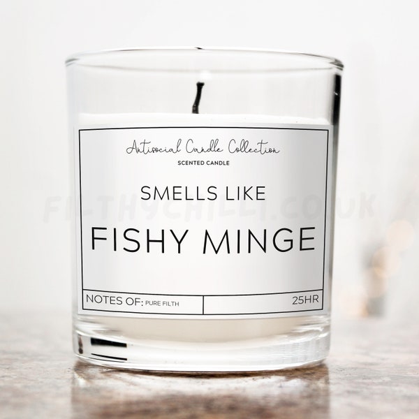 Funny Candles, Smells Like Fishy Minge, Funny Birthday Gifts for Sister, Naughty Gift for Friends, Antisocial Candles, Gifts for Women, ™