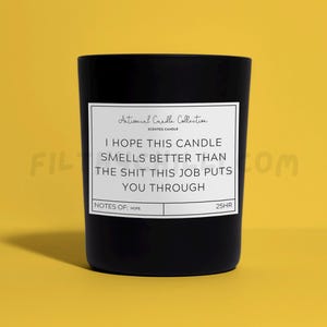 Funny I Hope This Candle Smells Better Than The Shit This Job Puts You Through Candle Gift. French Vanilla Scent with a Black Glass Container Jar. Made with Coconut Wax