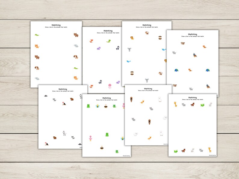 Matching Worksheets - Pets and Animals - Printable Activity - Etsy