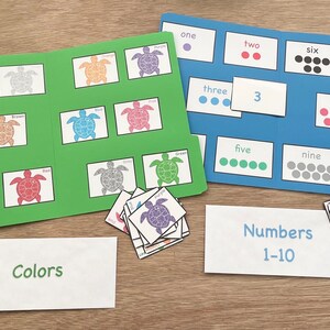 Turtle Colors and Numbers File Folder Games: Set of 2