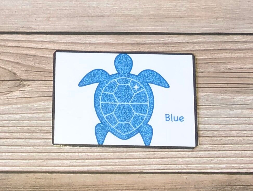 Color Flash Cards - Turtles - Laminated - Etsy