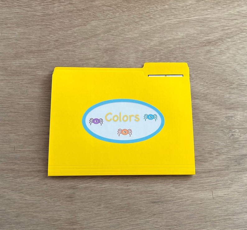 Colors File Folder Game - 10 Colors- Match Spider to Web - Etsy