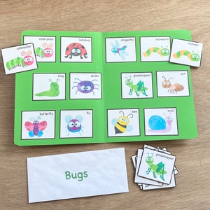 Bugs File Folder Game - Match Bugs - 12 Different Bugs