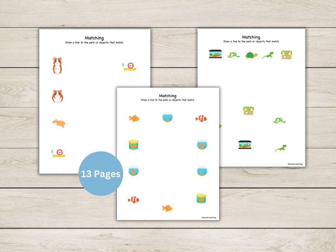 Matching Worksheets - Pets and Animals - Printable Activity - Etsy