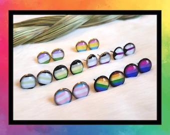 Pride Stud Earrings 12mm Stainless Steel Post Hypoallergenic Handmade Studs Lesbian Gay Trans Asexual Queer Non Binary Two Spirit