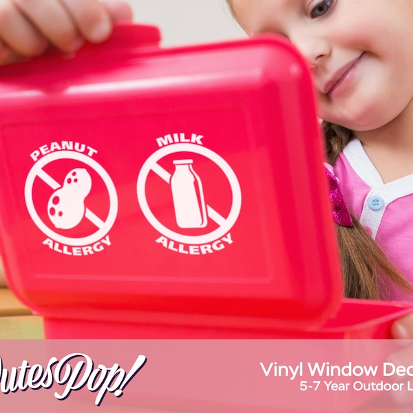 Top 14 Allergen Warning Vinyl Decal Stickers, Allergy, Allergies, Safety, Medical, Emergency, Kids, School, Lunchbox, Daycare, Window
