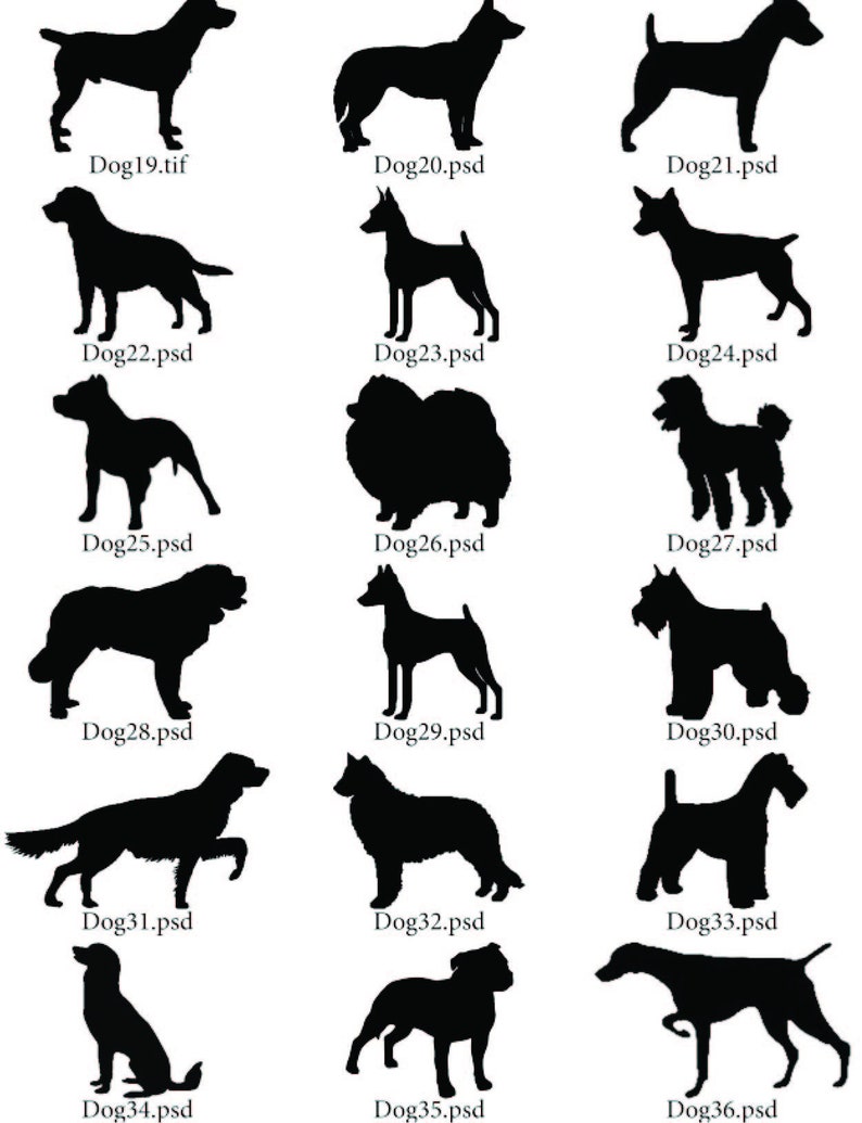 May include: A collection of 16 black and white silhouette images of different dog breeds. The images are arranged in a grid of four rows and four columns. Each image is labeled with the name of the breed and a file extension.