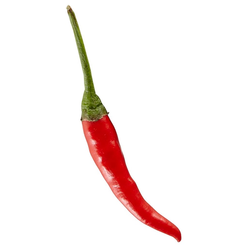Thai Chili Pepper capsicum Annuum 0.5g Approx. 150 Seeds. 5g Etsy