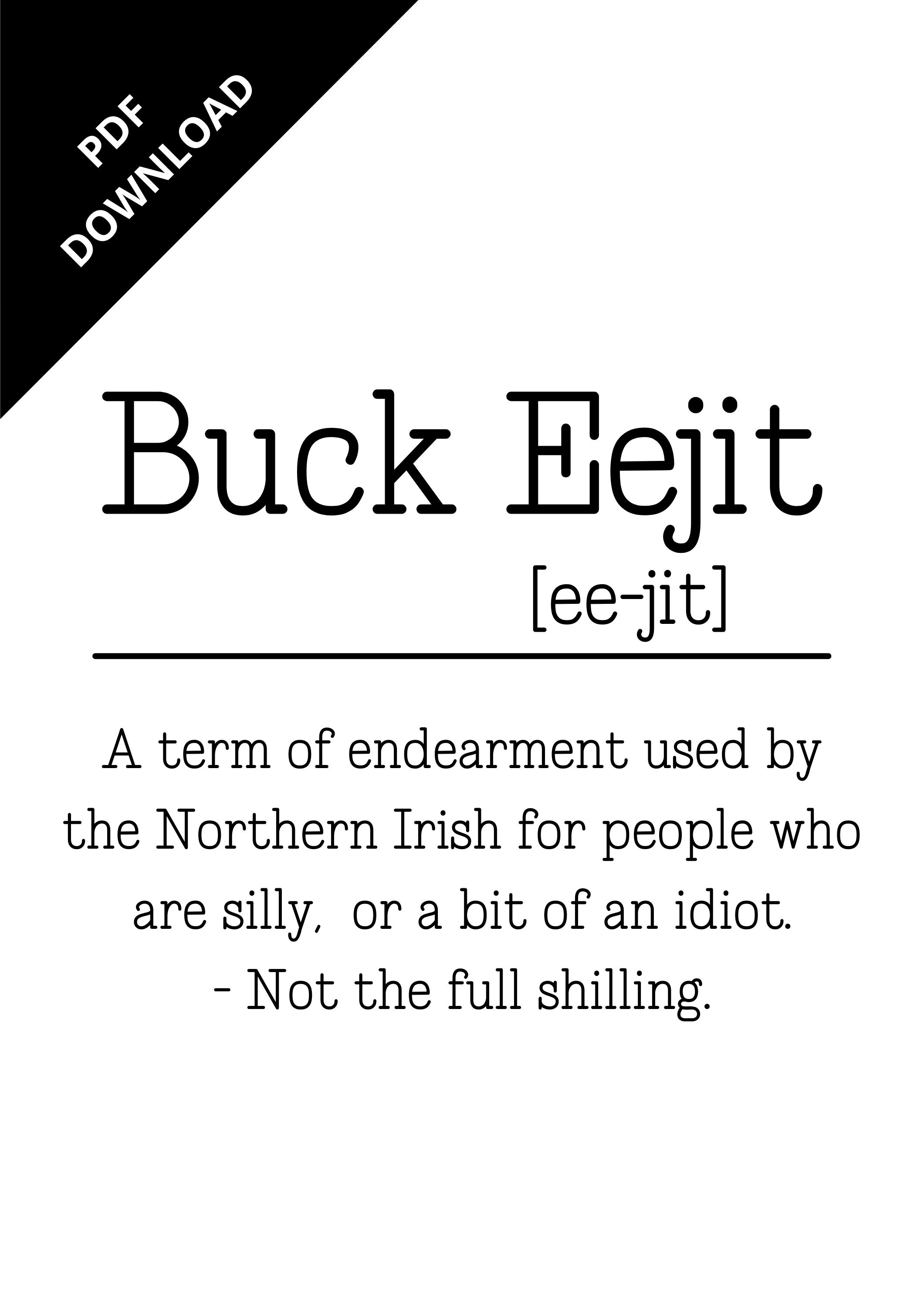 Buck Eejit Print Eejit Northern Irish Slang PDF Poster Quote Definition