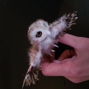 Puede incluir: Un pequeño búho esponjoso con plumas marrones y blancas y ojos grandes y oscuros. Las alas del búho están parcialmente extendidas, mostrando los patrones detallados de las plumas. El búho se sostiene en una mano sobre un fondo oscuro.