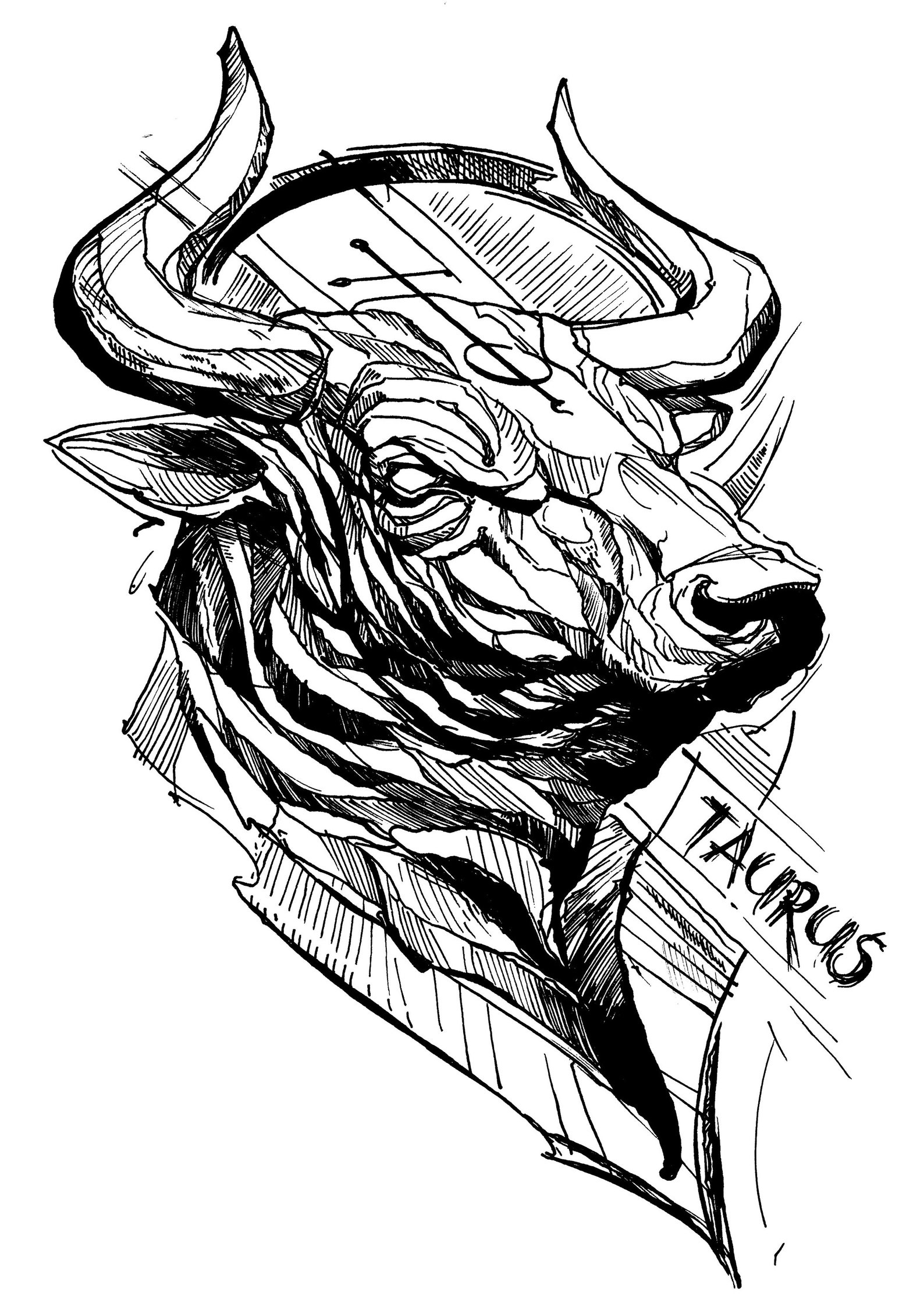 TAURUS ZODIAC SIGN The Bull Zodiac Astrology Horoscope Etsy