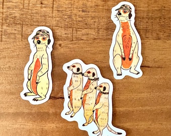 Meerkat Vinyl Sticker / Cute Animal Sticker / Waterproof Sticker / Hand Drawn Wildlife Sticker / Glossy Vinyl Sticker