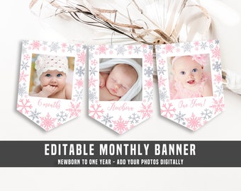 Winter Onederland Birthday Monthly Banner Silver Pink Snowflake Photo Banner Winter Onederland Birthday Girl Decorations Editable Template