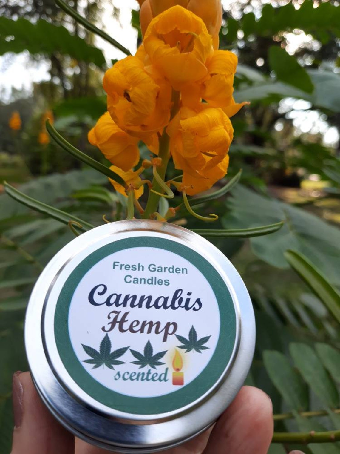 Cannabis Scented Candles With Hemp Fragrance/gifts for Friends