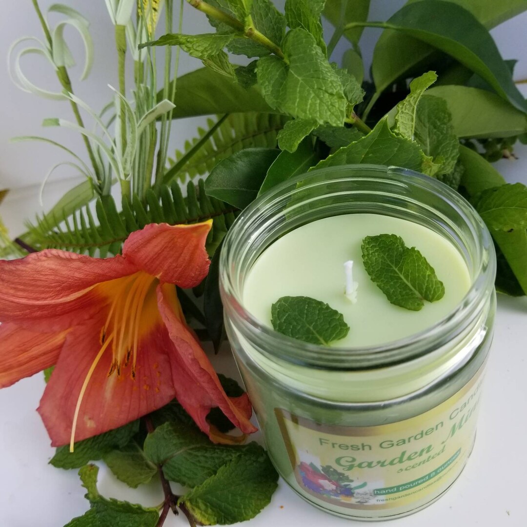 Garden Mint scented candle/ Mint herb candles/Fresh Garden Candles