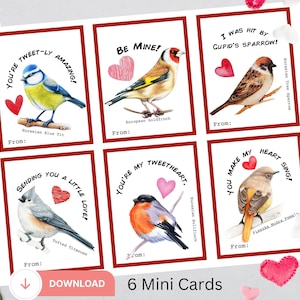 6 Mini carte de Saint-Valentin oiseau, carte pour salle de classe, carte pour enfant, fête de la Saint-Valentin, carte de Saint-Valentin pour enfant, Saint-Valentin d'école, carte oiseau, étiquette