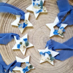 STELLE profumate in cera di soia tavolette con botaniche per segnaposto o bomboniera tart, cera da fondere, cialde di cera