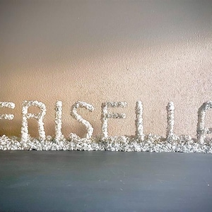 May include: A decorative sign spelling out the name "ERISELLA" in white, textured letters. The letters are covered in small, white, pebble-like embellishments and sit on a dark surface against a neutral wall.